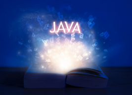 prime computer institute